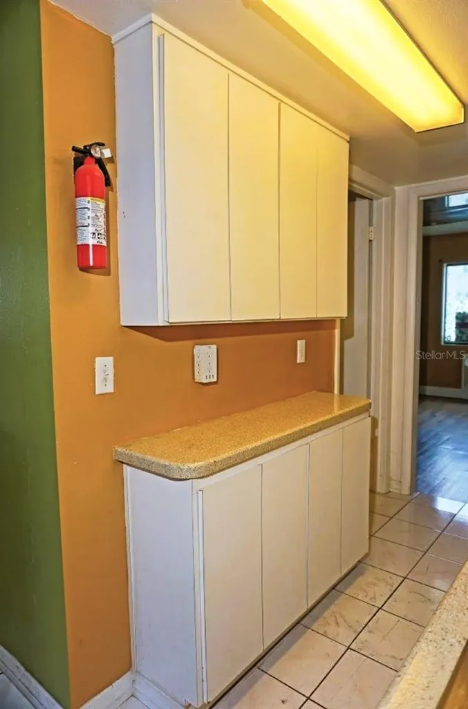1865 Mazo Manor Lutz FL 33558