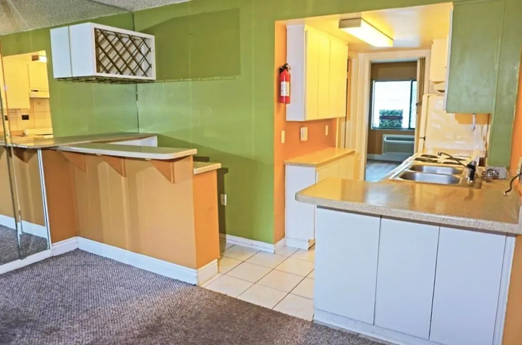 1865 Mazo Manor Lutz FL 33558