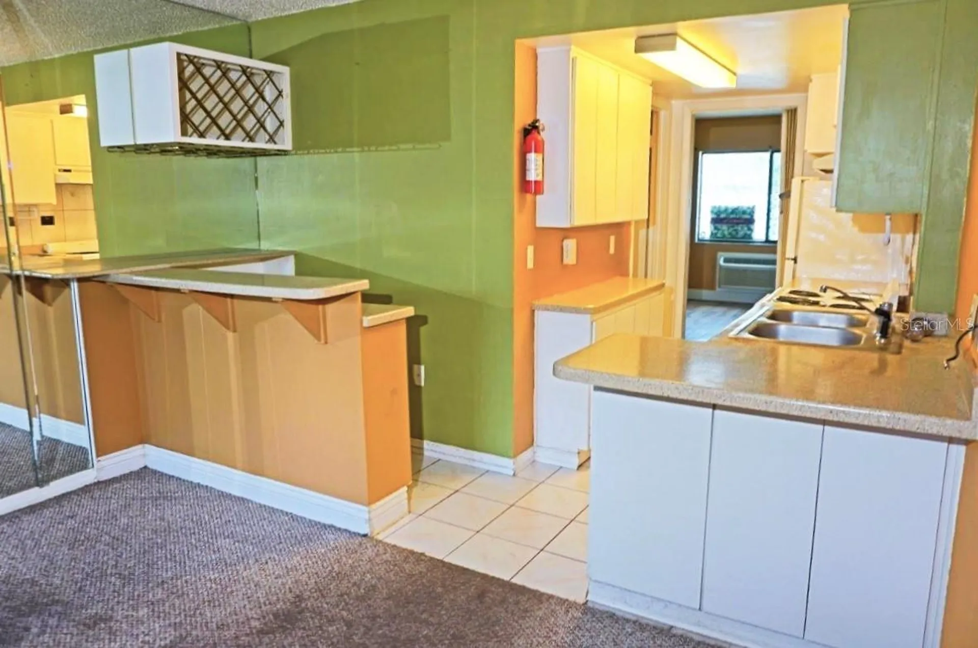 1865 Mazo Manor Lutz FL 33558