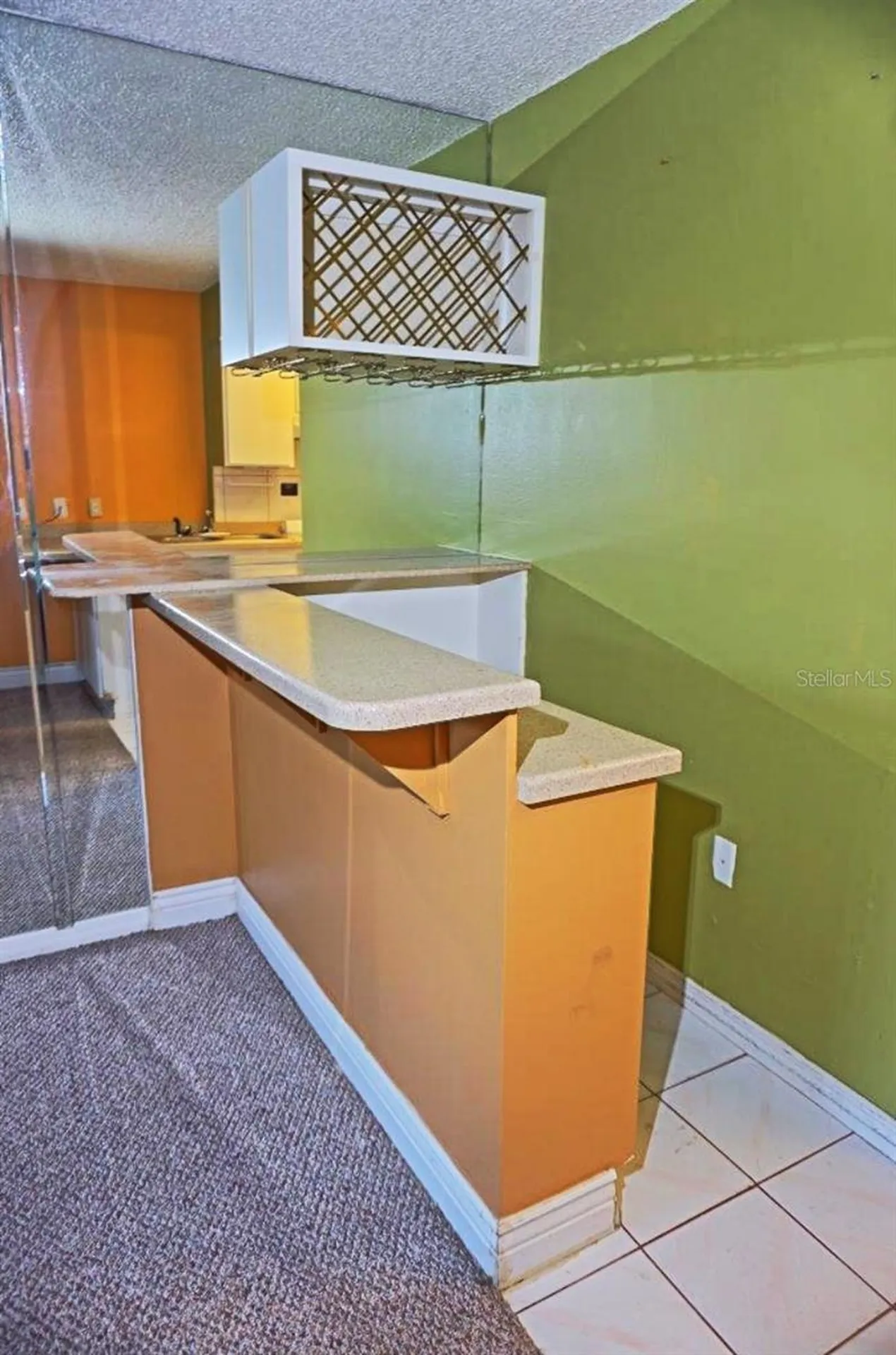 1865 Mazo Manor Lutz FL 33558