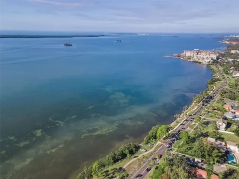 245 Garden Circle S Dunedin FL 34698