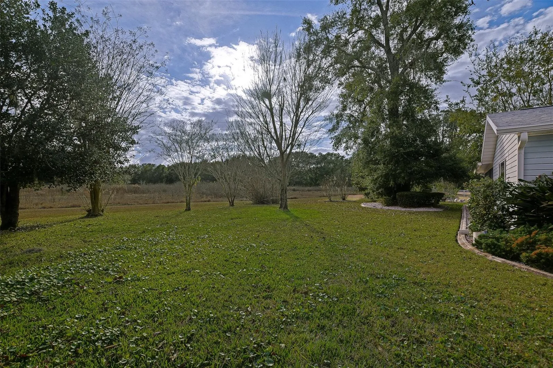 17770 SE 95th Circle Summerfield FL 34491