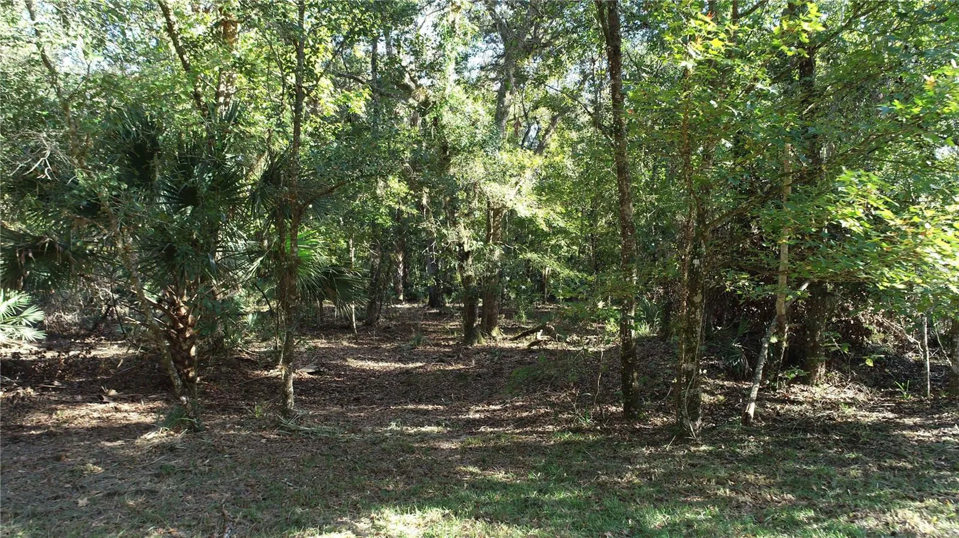S County Road 13 Orlando FL 32833