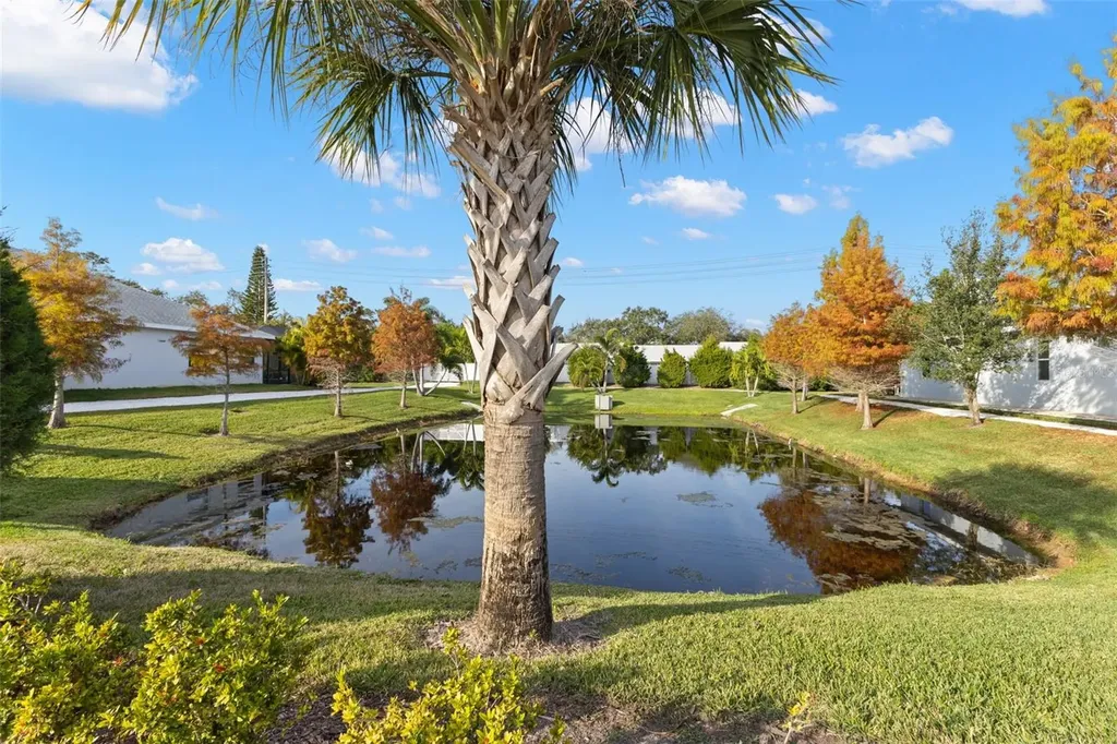 26 Concord Drive Dunedin FL 34698