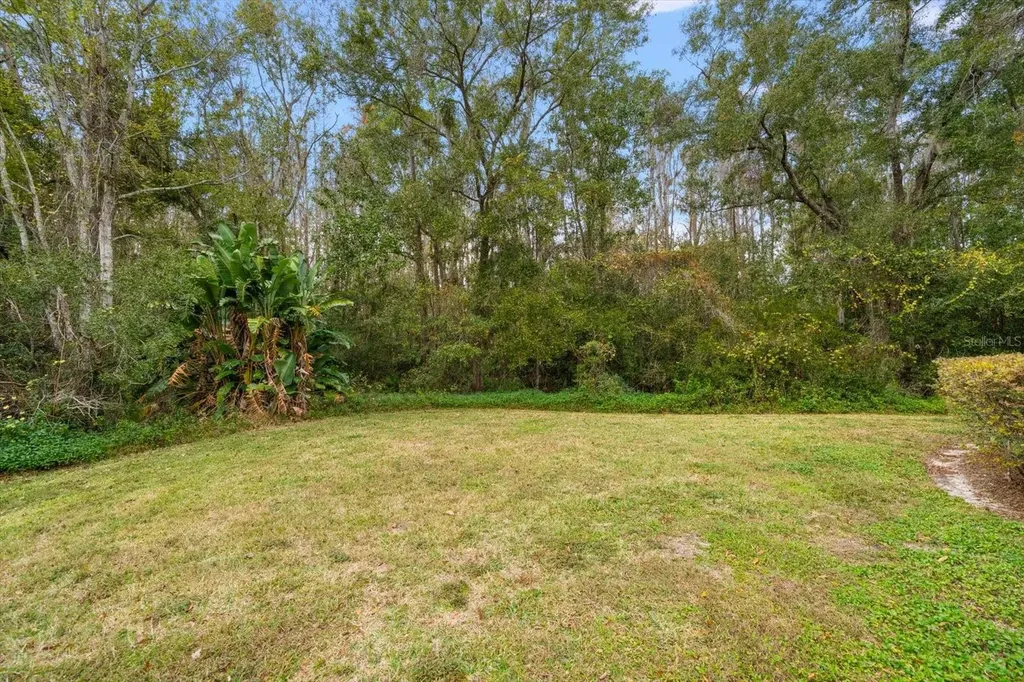 5243 Foxhunt Drive Wesley Chapel FL 33543