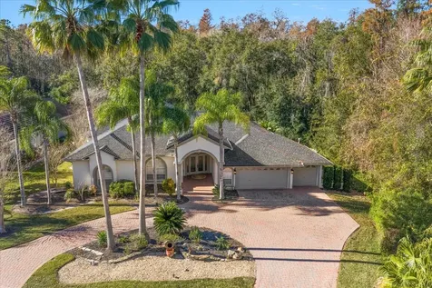 5243 Foxhunt Drive Wesley Chapel FL 33543