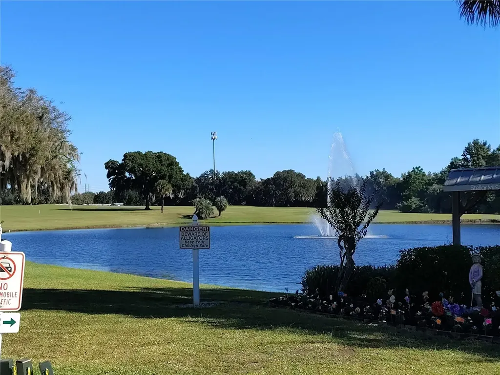 116 Lyonia Lane Wildwood FL 34785