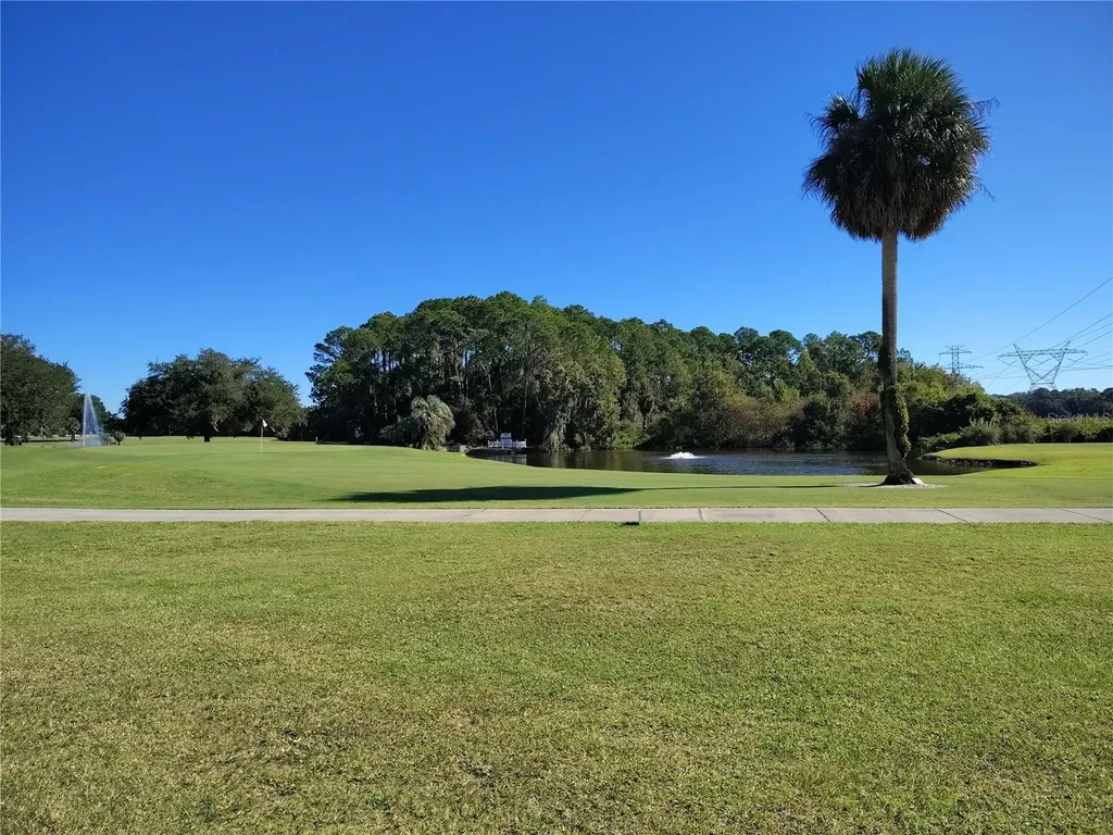 116 Lyonia Lane Wildwood FL 34785