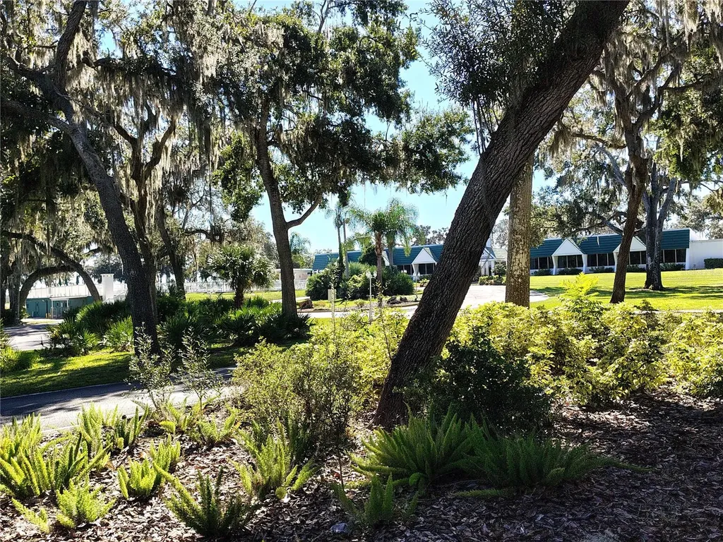 116 Lyonia Lane Wildwood FL 34785