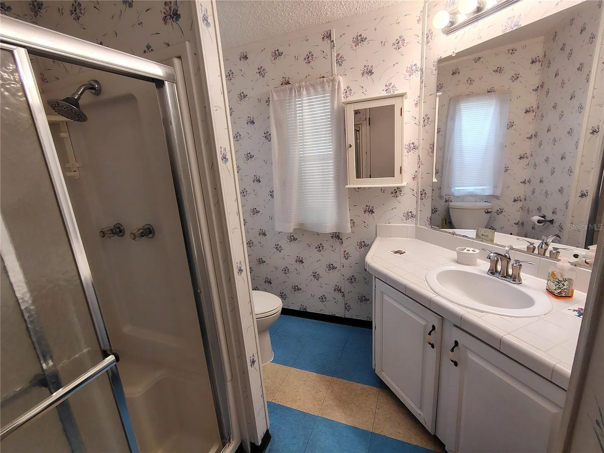 116 Lyonia Lane Wildwood FL 34785