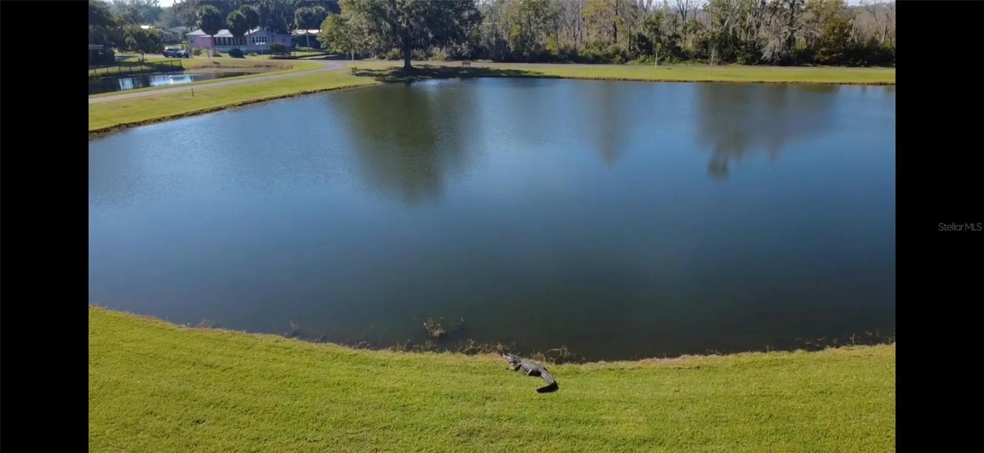 116 Lyonia Lane Wildwood FL 34785