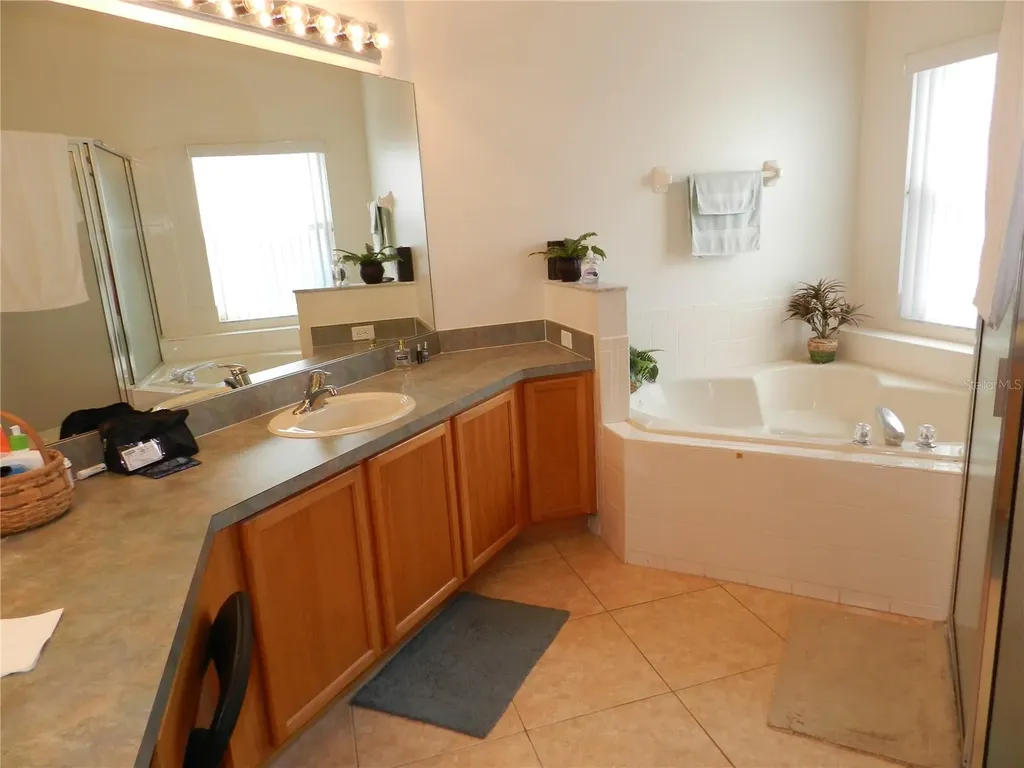 2641 Meadow View Court Kissimmee FL 34746