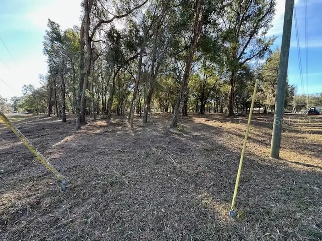 1 SE 161st Court Ocklawaha FL 32179