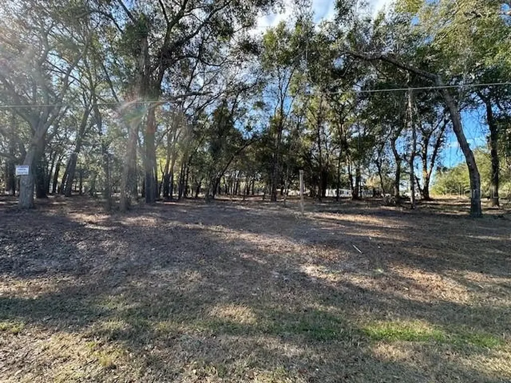 1 SE 161st Court Ocklawaha FL 32179