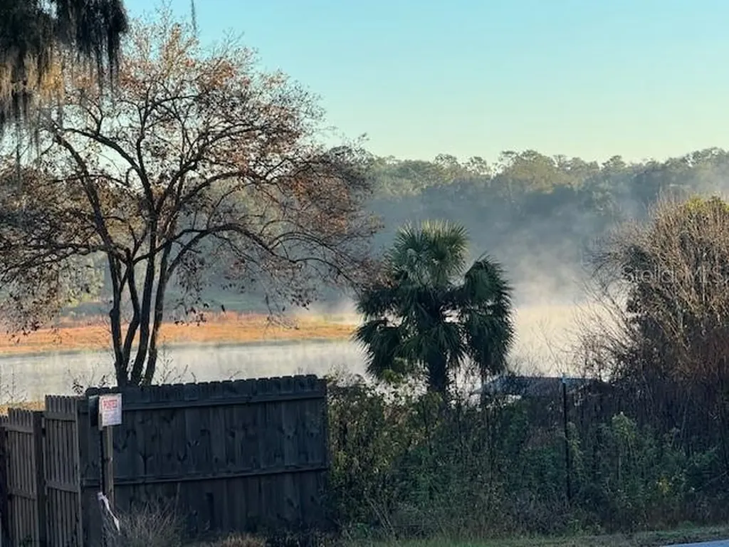 1 SE 161st Court Ocklawaha FL 32179