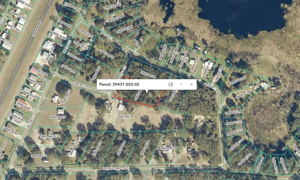1 SE 161st Court Ocklawaha FL 32179