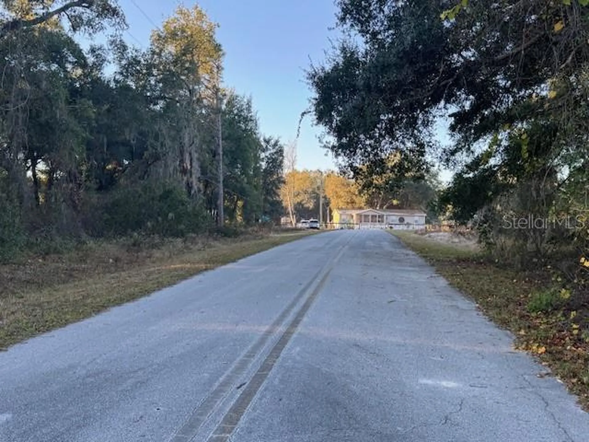 1 SE 161st Court Ocklawaha FL 32179
