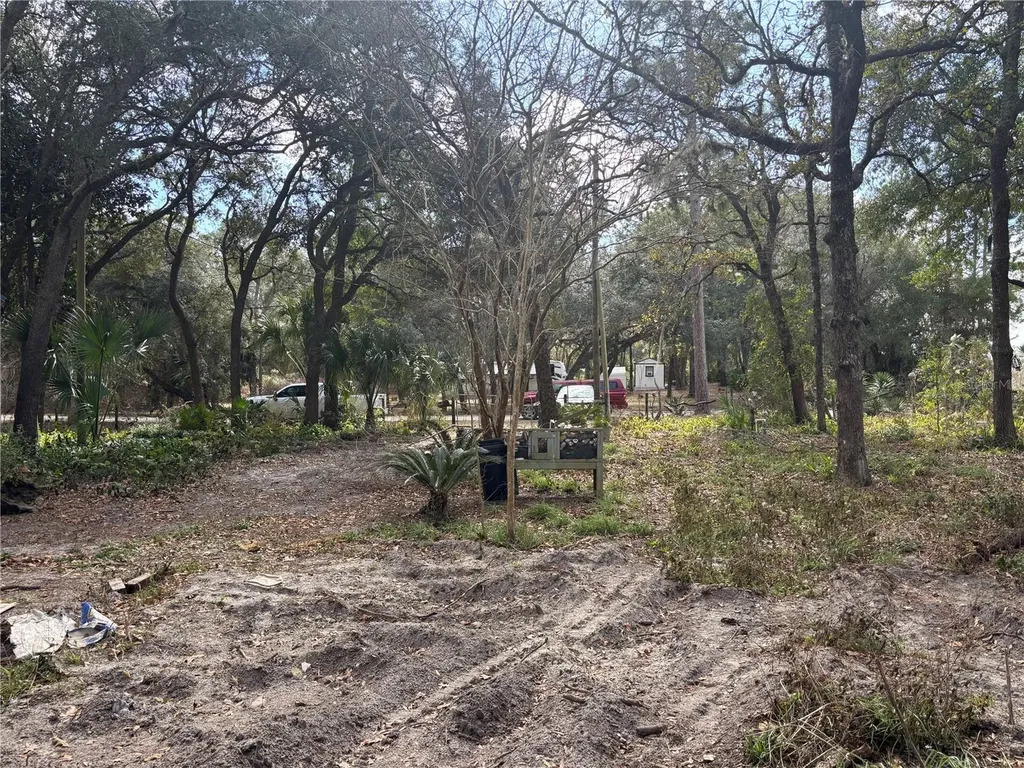 31 SE 190th Avenue Old Town FL 32680