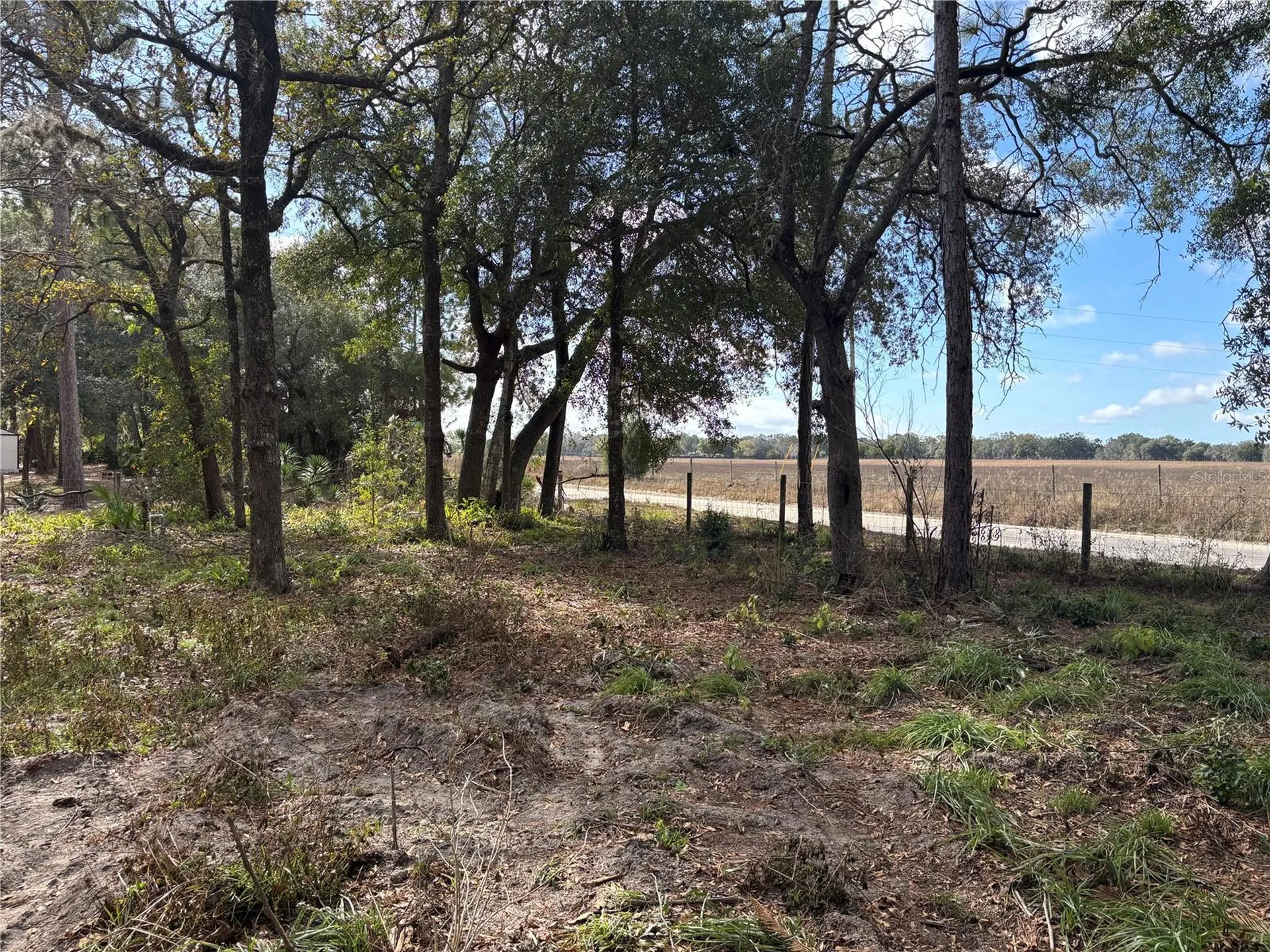 31 SE 190th Avenue Old Town FL 32680