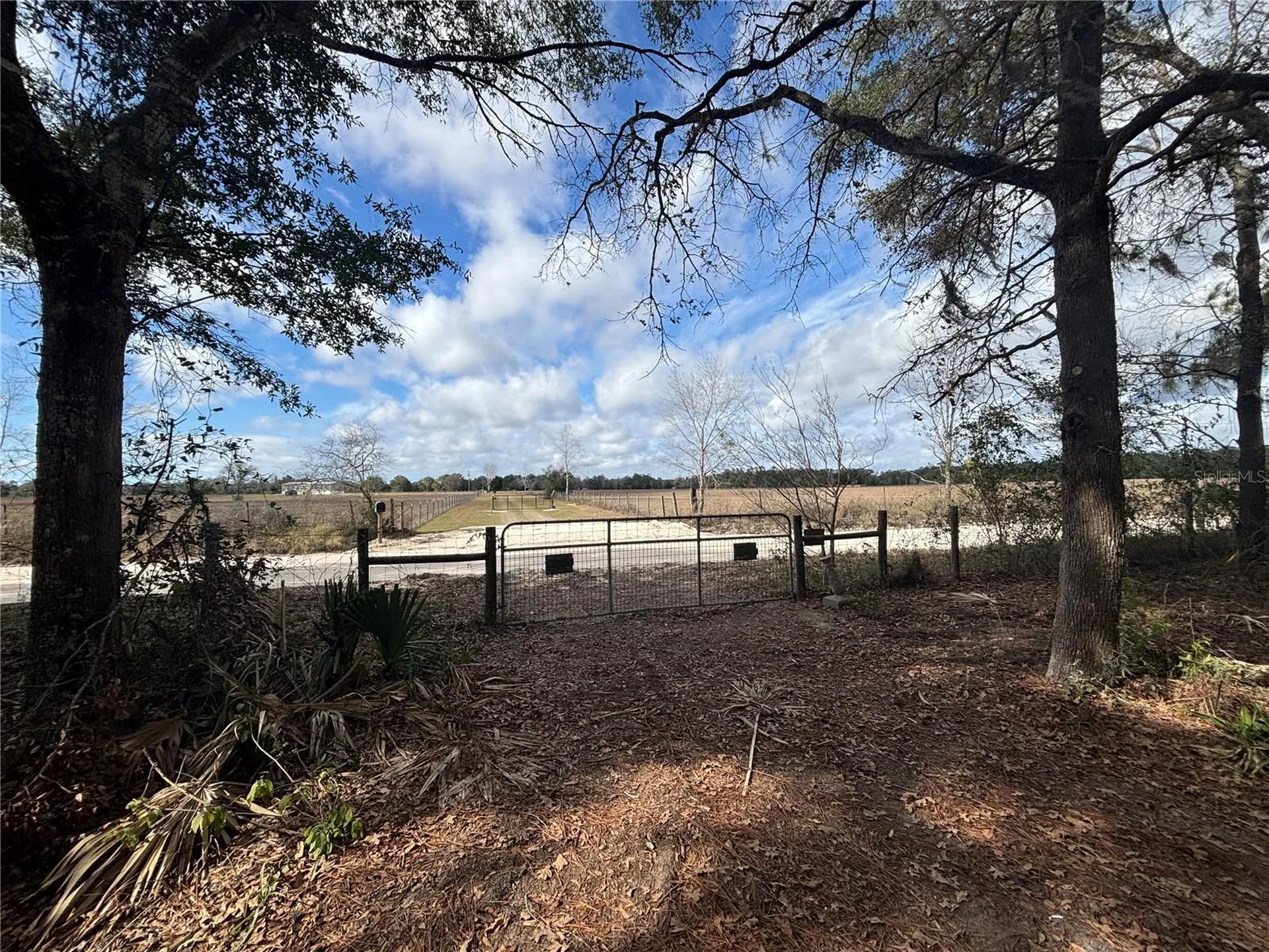 31 SE 190th Avenue Old Town FL 32680
