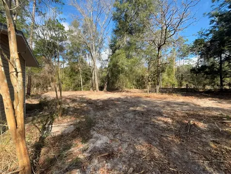 31 SE 190th Avenue Old Town FL 32680