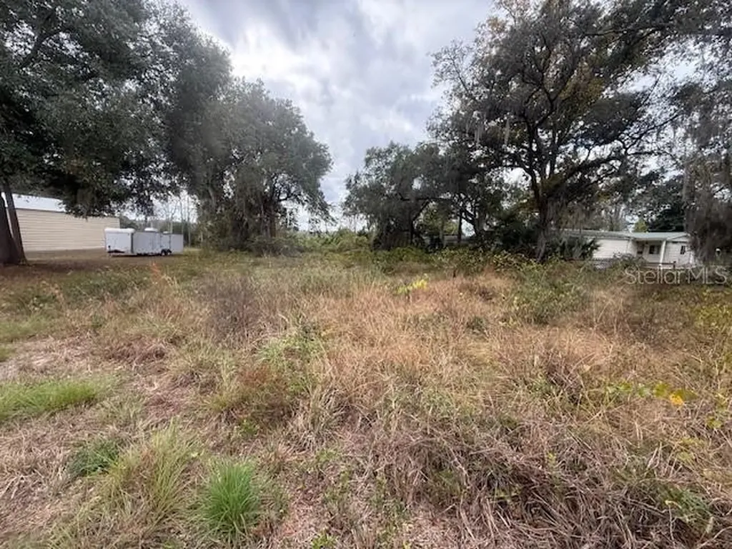 SE 175th Terrace Silver Springs FL 34488