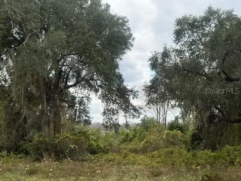 SE 175th Terrace Silver Springs FL 34488