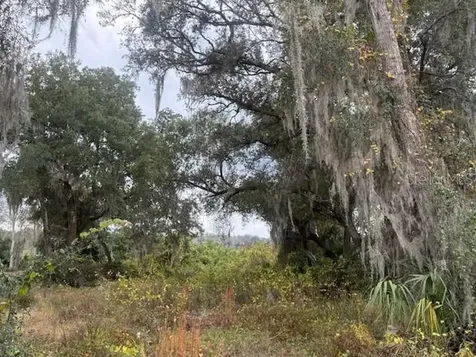SE 175th Terrace Silver Springs FL 34488