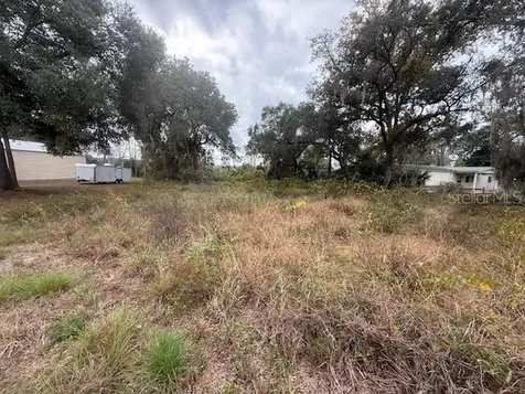 SE 175th Terrace Silver Springs FL 34488