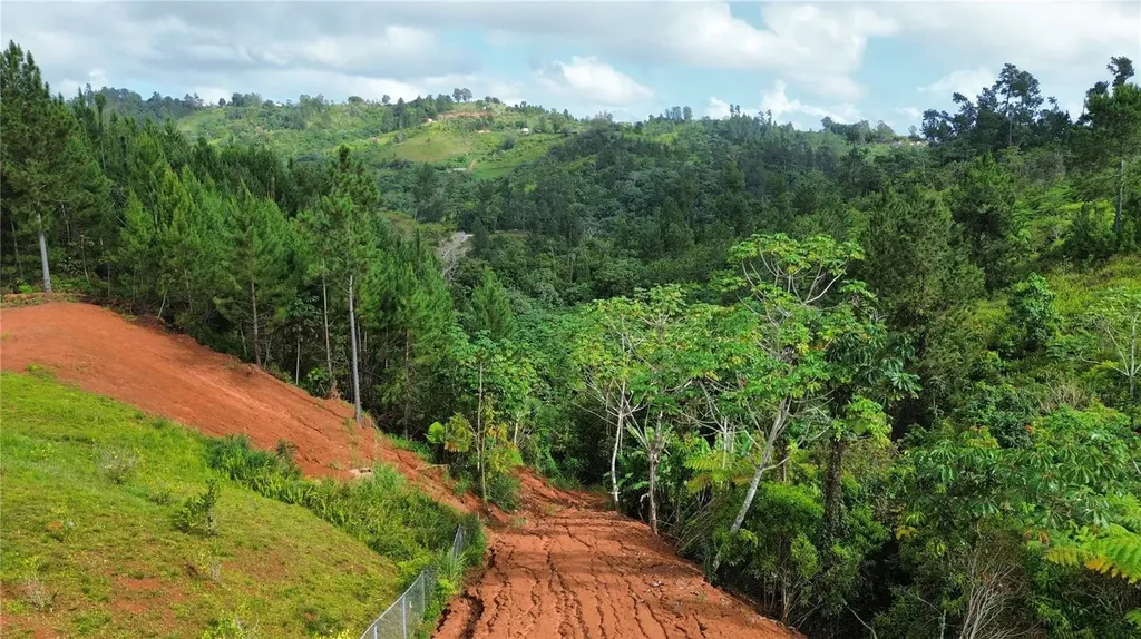 Bo. Maná Carr. 802 Km 2.5 Corozal PR 00783