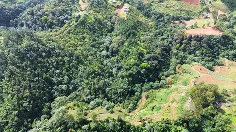 Bo. Maná Carr. 802 Km 2.5 Corozal PR 00783