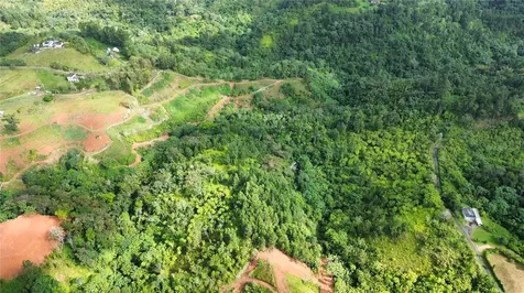 Bo. Maná Carr. 802 Km 2.5 Corozal PR 00783