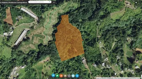 Bo. Maná Carr. 802 Km 2.5 Corozal PR 00783