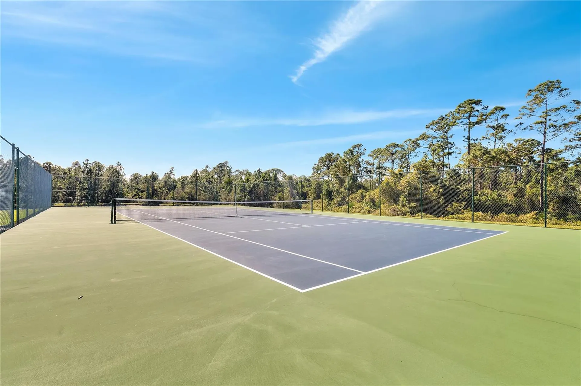 1744 Coriander Drive Kissimmee FL 34759