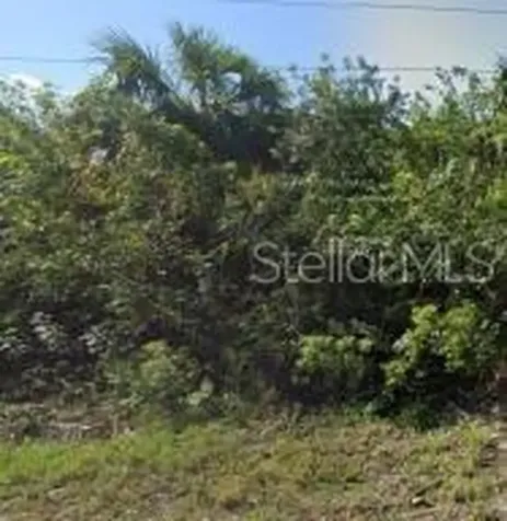 886 Bitlis Street SW Palm Bay FL 32908