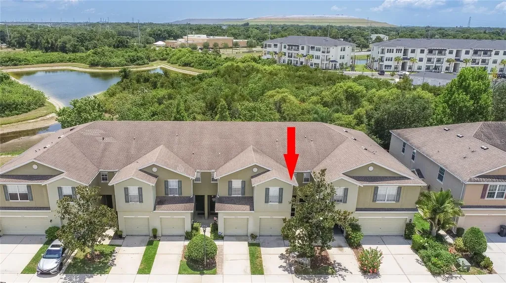 8931 Turnstone Haven Place Tampa FL 33619