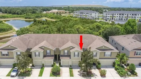 8931 Turnstone Haven Place Tampa FL 33619