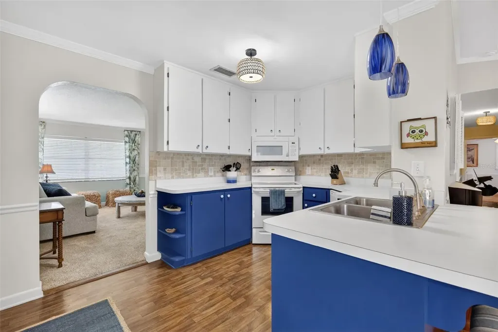 936 N Baker Street Mount Dora FL 32757