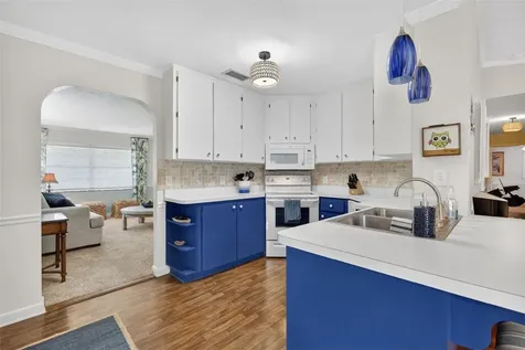 936 N Baker Street Mount Dora FL 32757
