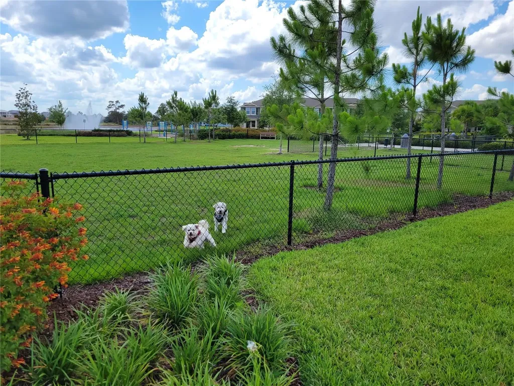 16136 Wind View Lane Winter Garden FL 34787