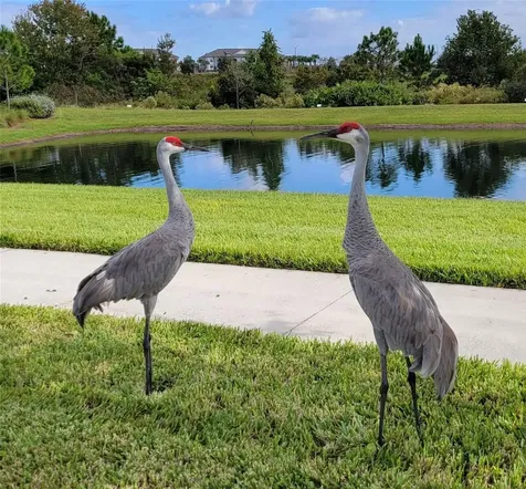 16136 Wind View Lane Winter Garden FL 34787