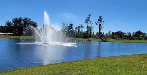 16136 Wind View Lane Winter Garden FL 34787