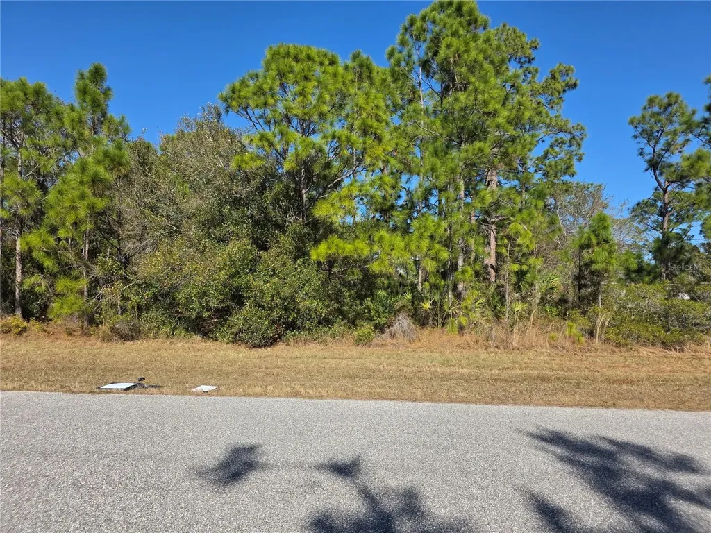 Hornbuckle Boulevard North Port FL 34291