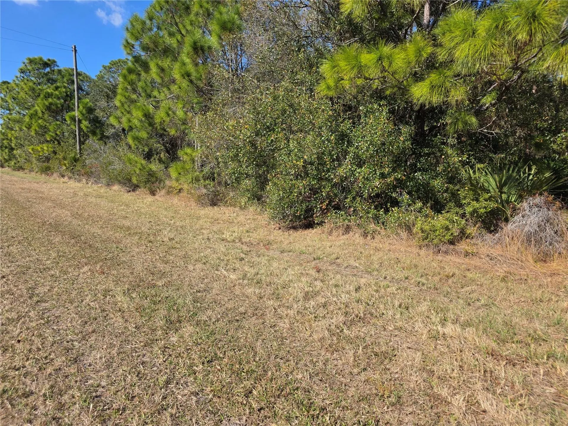 Hornbuckle Boulevard North Port FL 34291