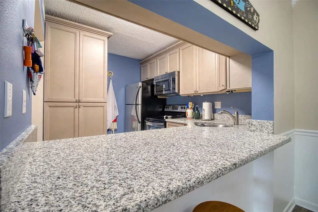 3134 Lake Pine Way Tarpon Springs FL 34688