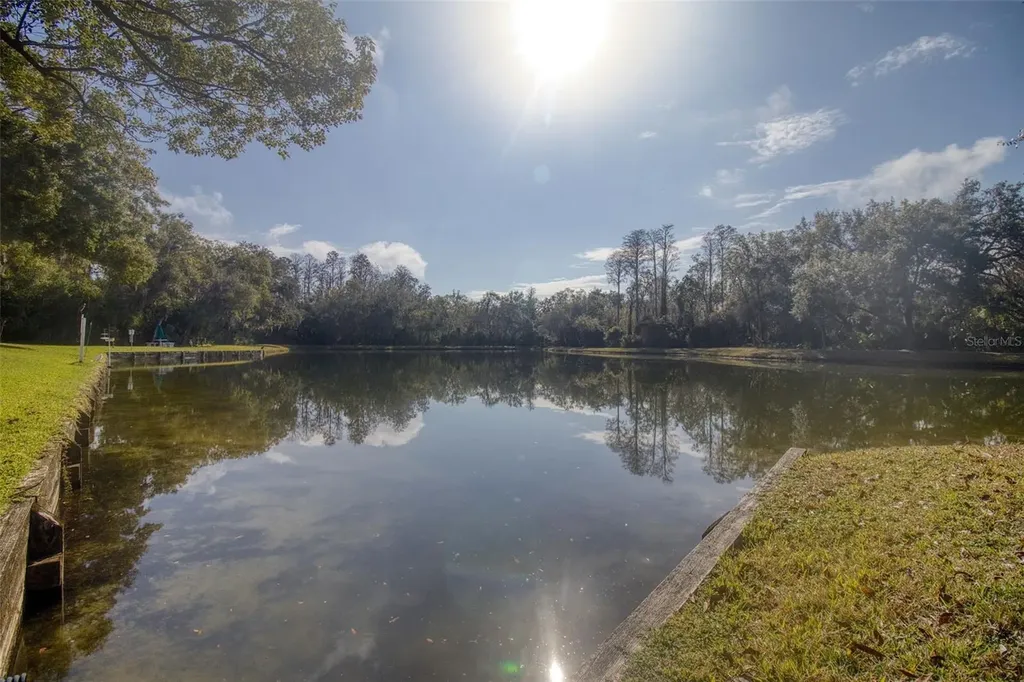 3134 Lake Pine Way Tarpon Springs FL 34688