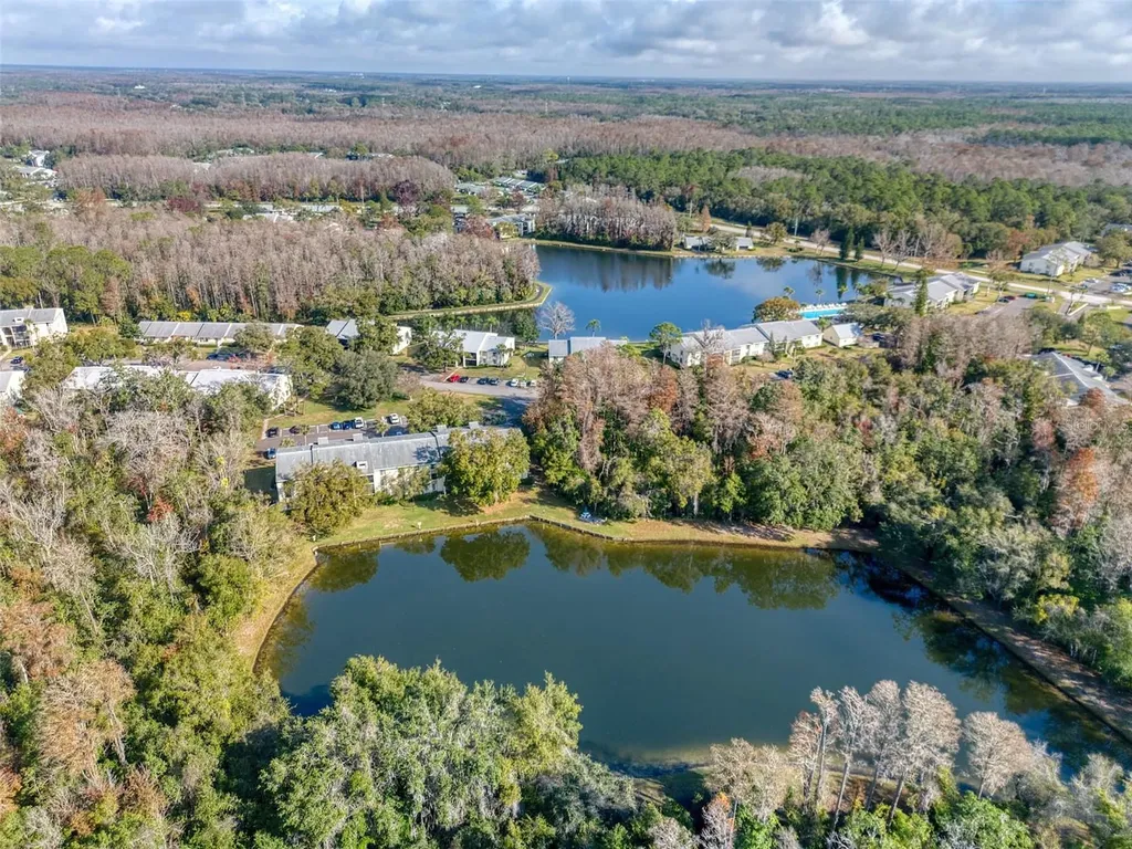 3134 Lake Pine Way Tarpon Springs FL 34688