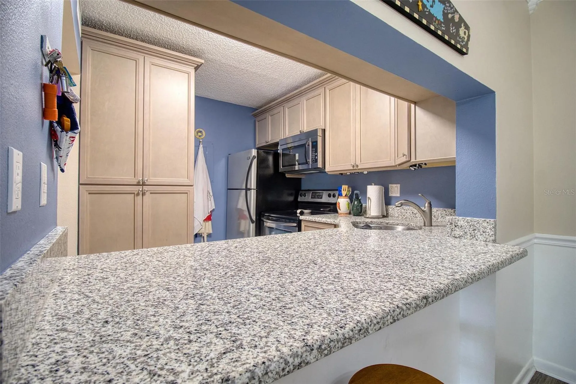 3134 Lake Pine Way Tarpon Springs FL 34688