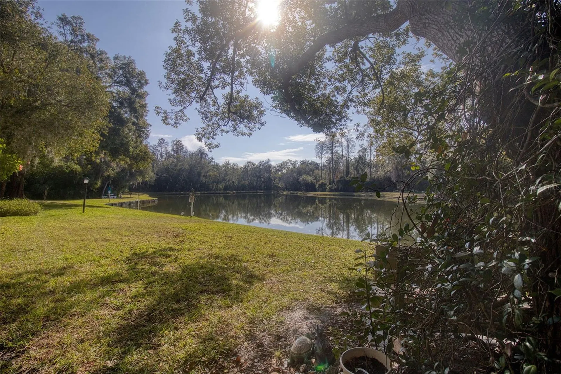 3134 Lake Pine Way Tarpon Springs FL 34688
