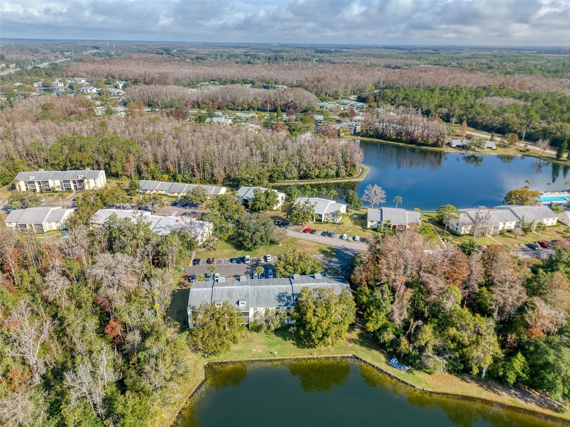 3134 Lake Pine Way Tarpon Springs FL 34688